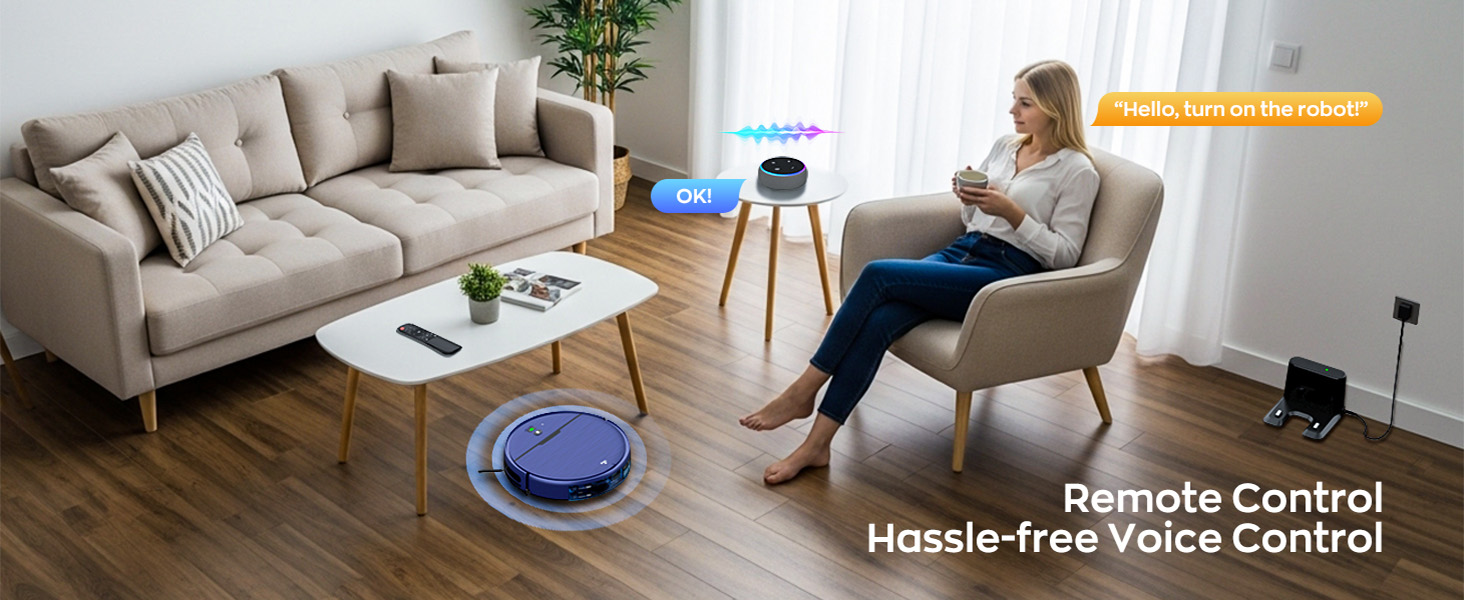 Voice Control